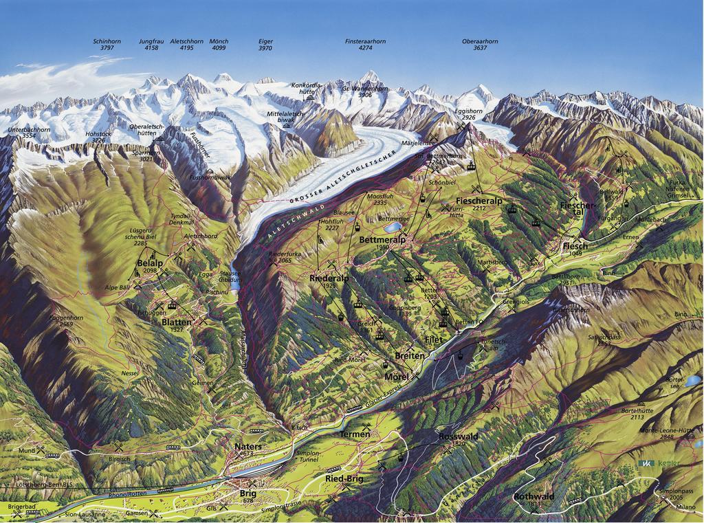Swiss Chalet-Style Hotel Walliser Spycher Riederalp Luaran gambar